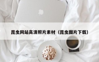 乐清昆虫网站高清照片素材（昆虫图片下载）